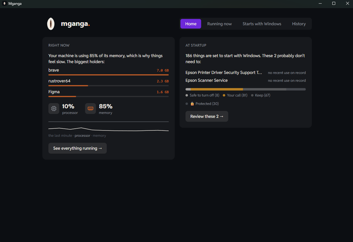 The Mganga home screen: a live diagnosis naming the biggest memory holders, and the startup card naming two services that probably don't need to start with Windows